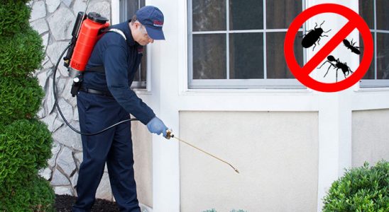 Tutak Akrep İlaçlama böcek ilaçlama ve haşere kontrolü — ilaclama-tr.com